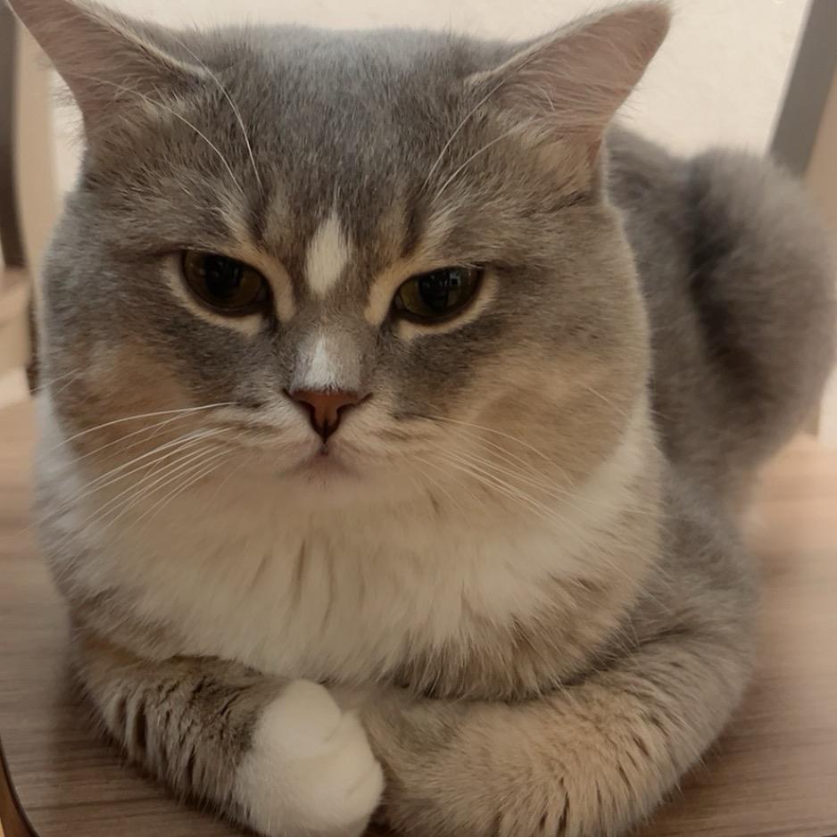 欢欢子