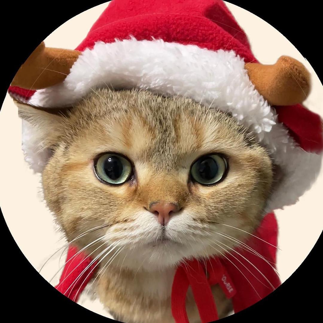 薯条麻麻薯@抖音