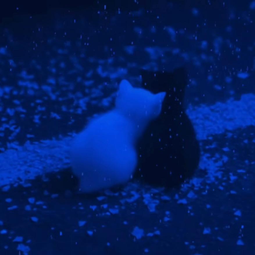 Lulu blue