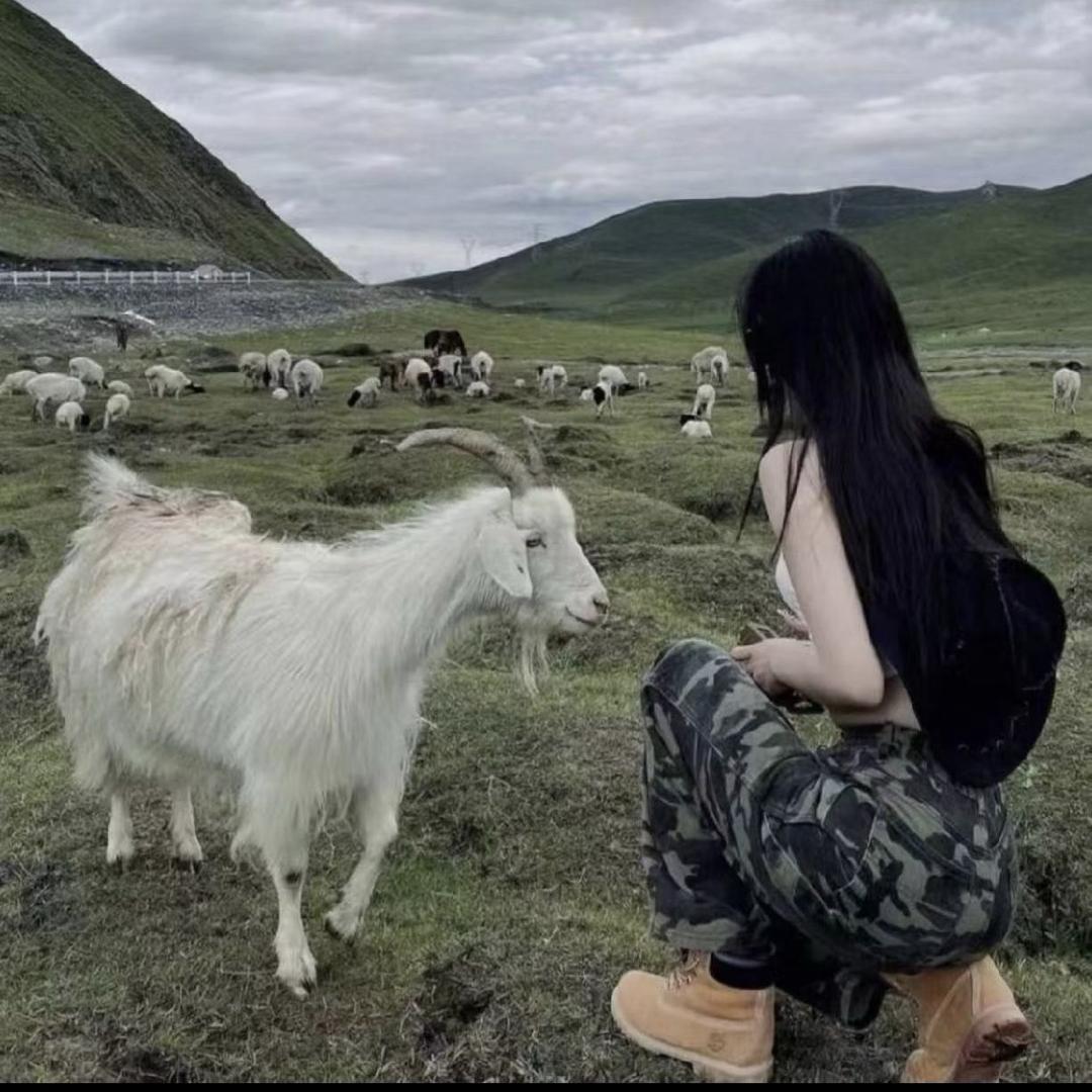 🖤
