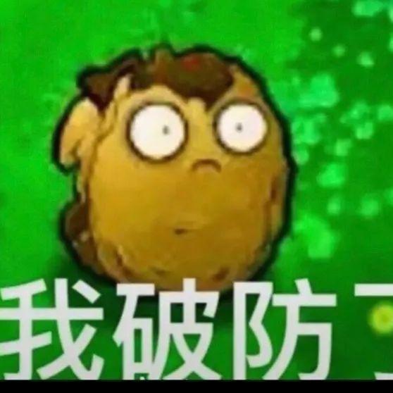 一只蜻蜓