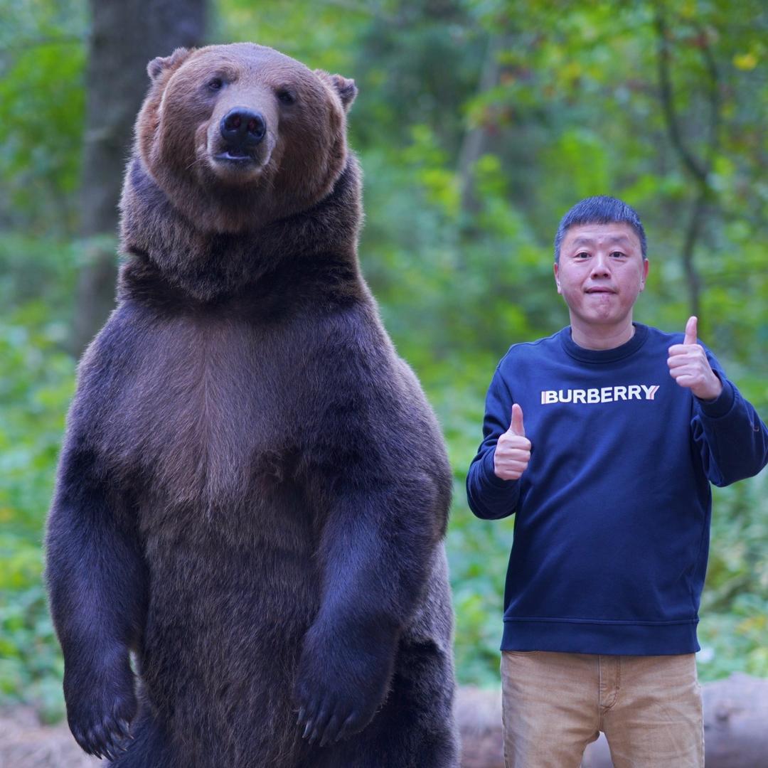 彬锅锅的诗和远方