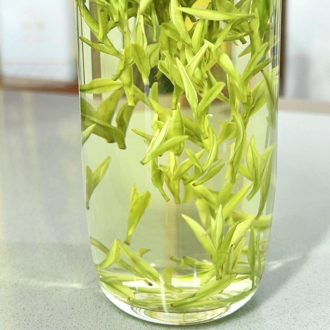 秋逗子优选茶叶