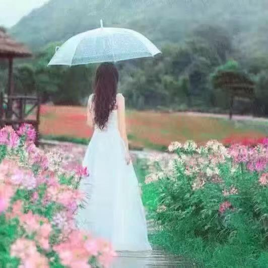 真心换真情