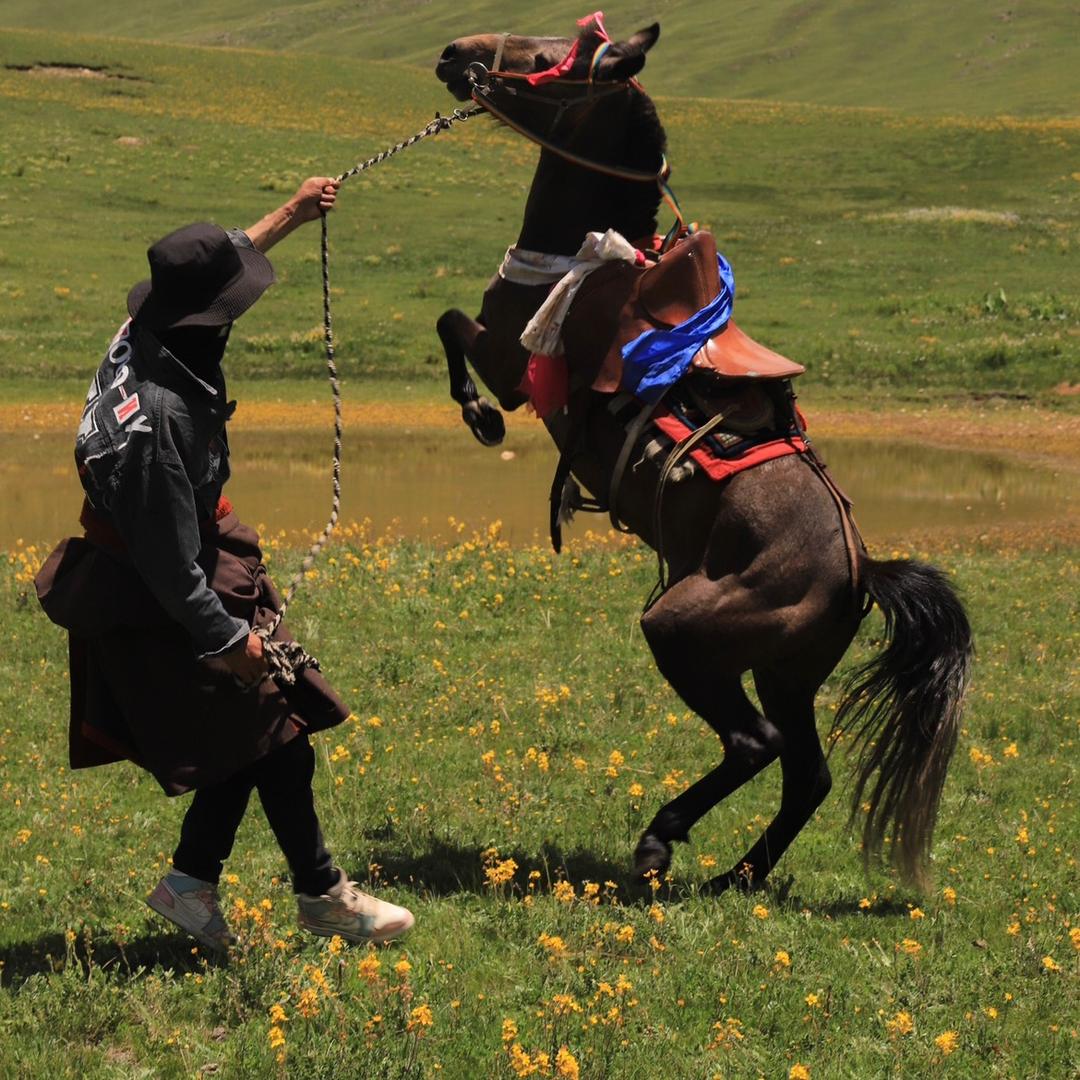 则巴小马སེང་ཕྲུག་ཅང་རྒོད