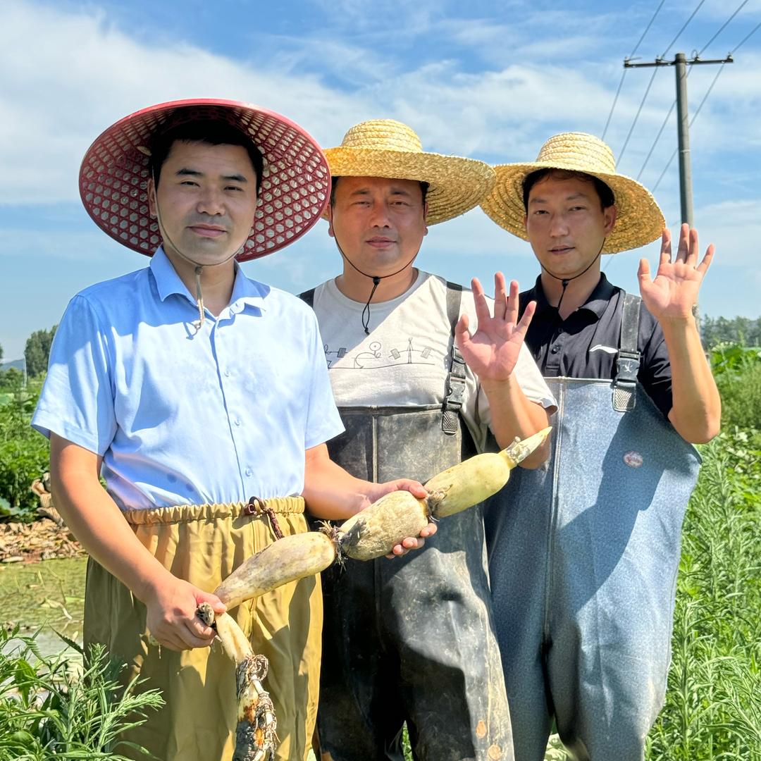 书记三人行（正能量）