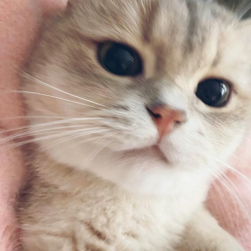 ^伱^