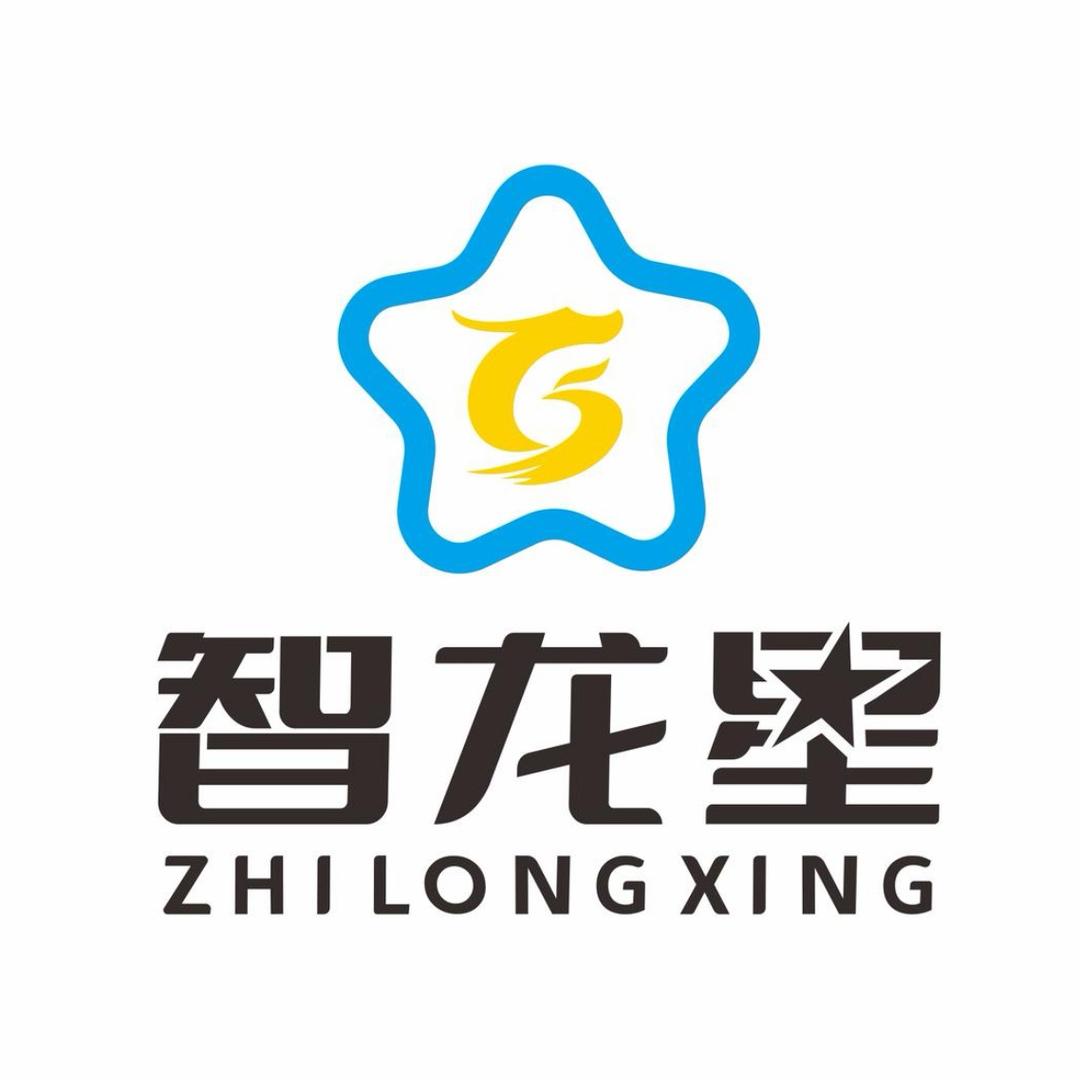 智龙星高端托教