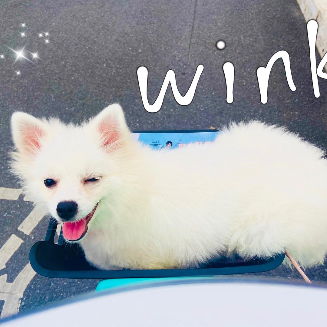 小憨包🍔的小姐姐