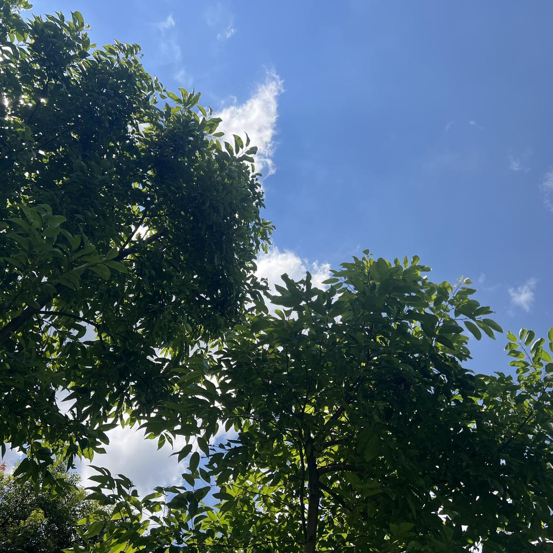 不干了，全送了