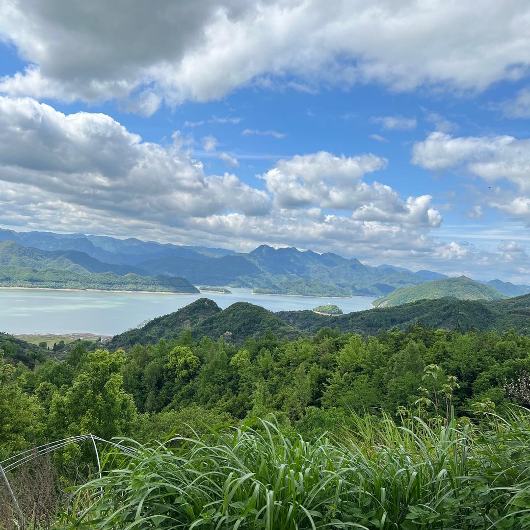 你若不坚强，懦弱给谁看