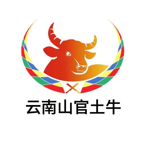 云南山官土牛肉