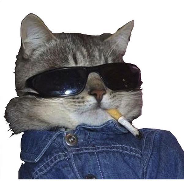 嘘