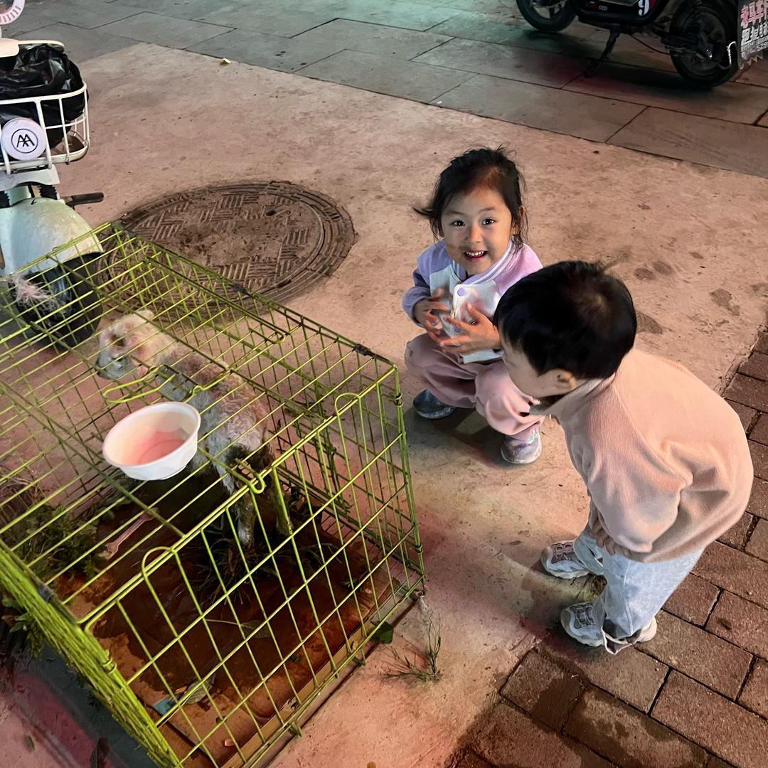 恩恩@诺诺