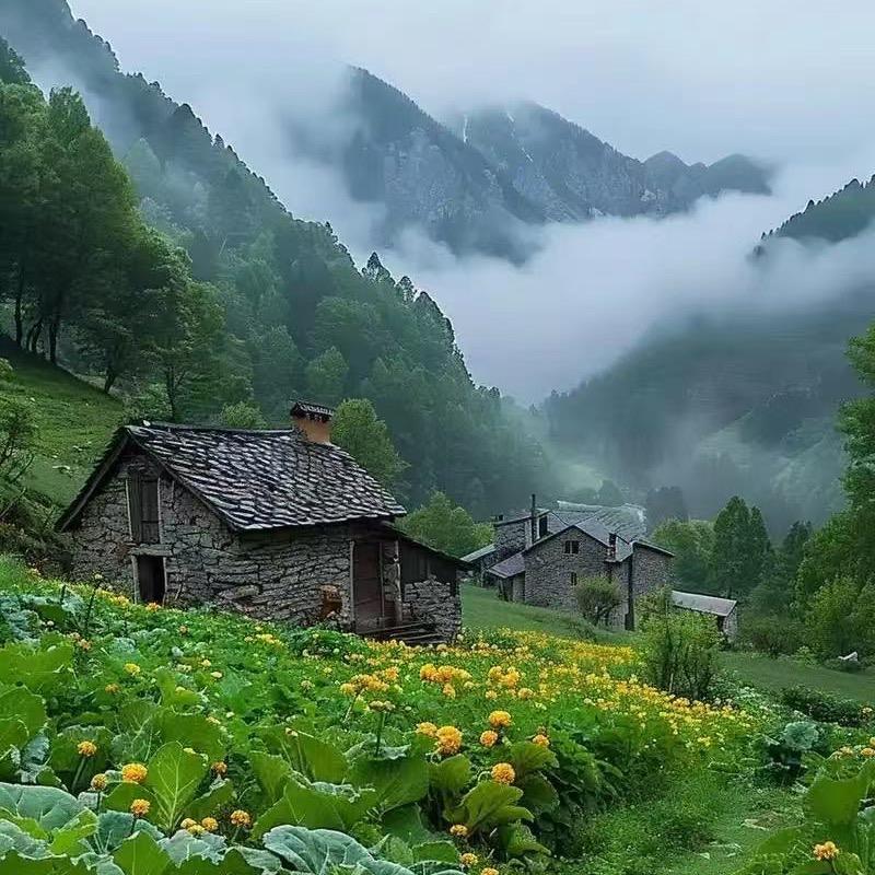 大山里的罗惠惠
