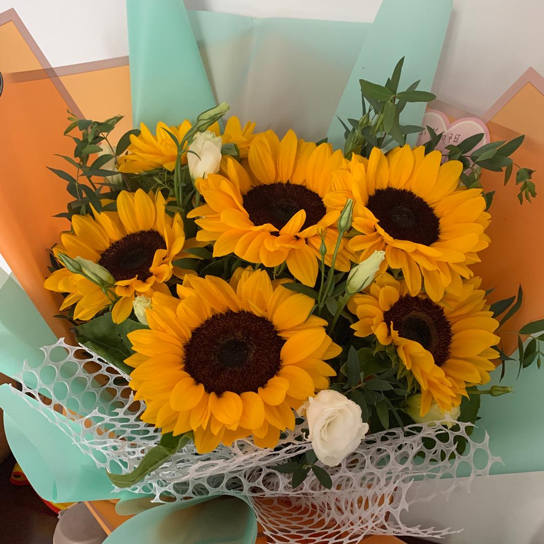 没胡子的猫 🐱