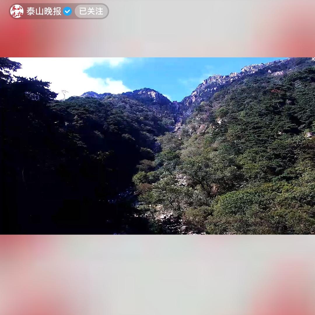 墨香