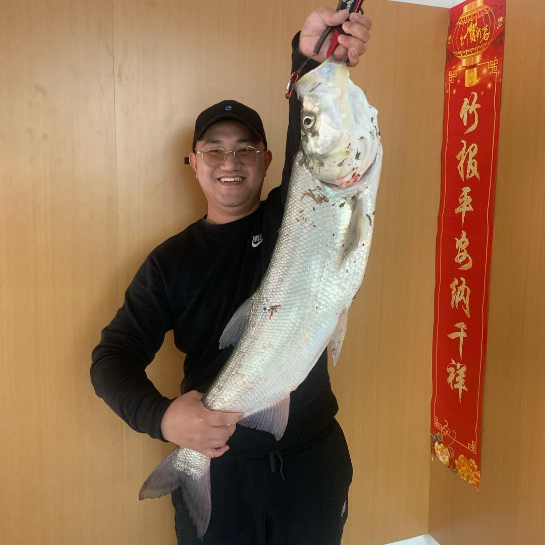隔壁老曹路亚