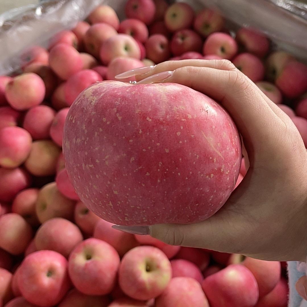 新新家的红富士苹果