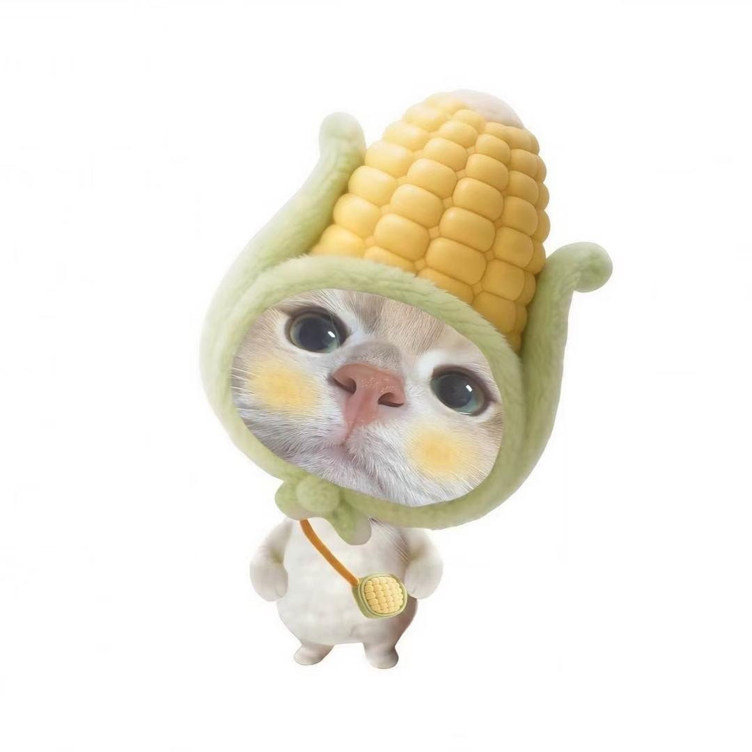 我的小猫泥