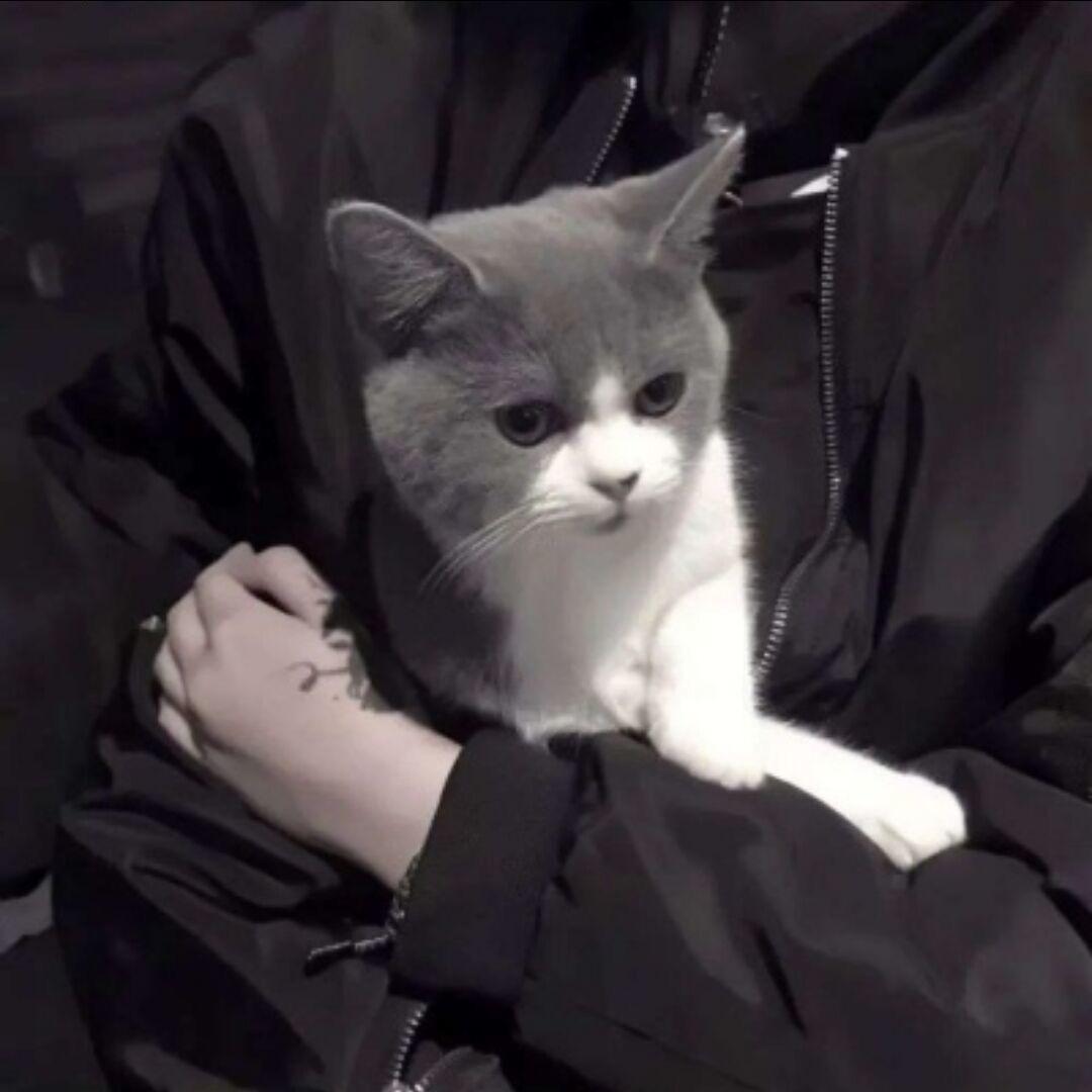 锦