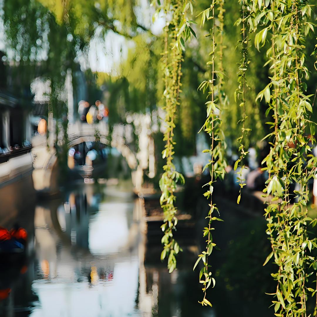 禅心