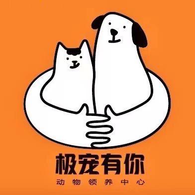 北极动物救援·极宠有你