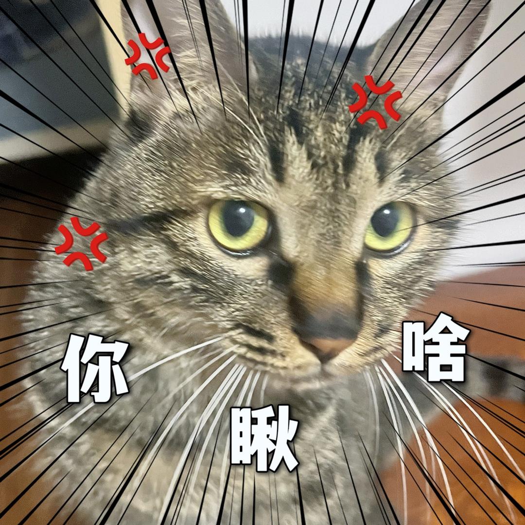 阑叔(吃丹修仙)