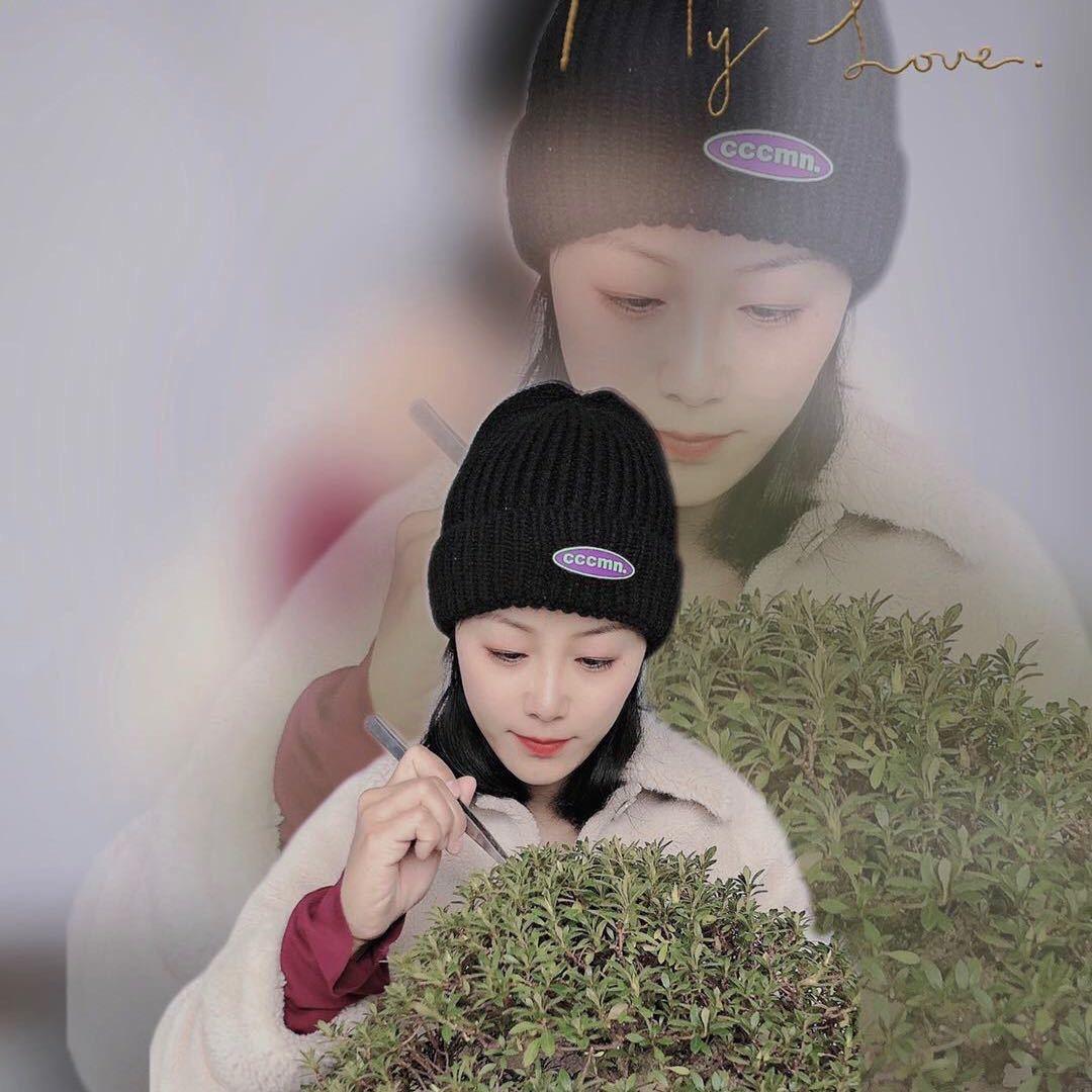 春植物语