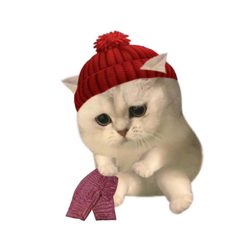 槿泽⁷⁷