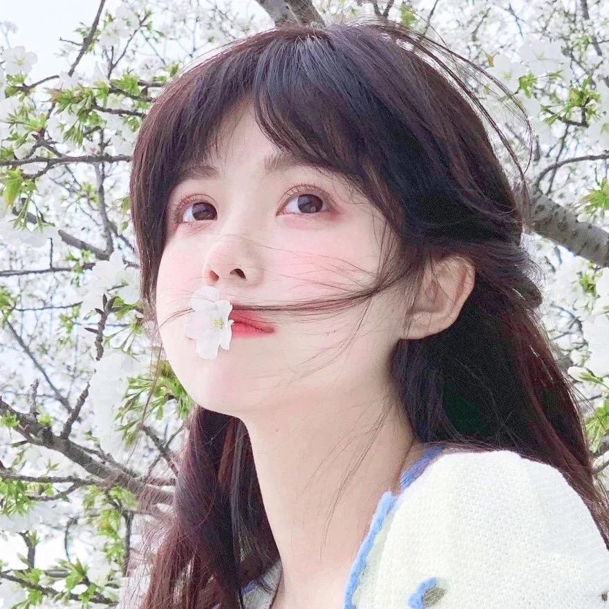 沐沐
