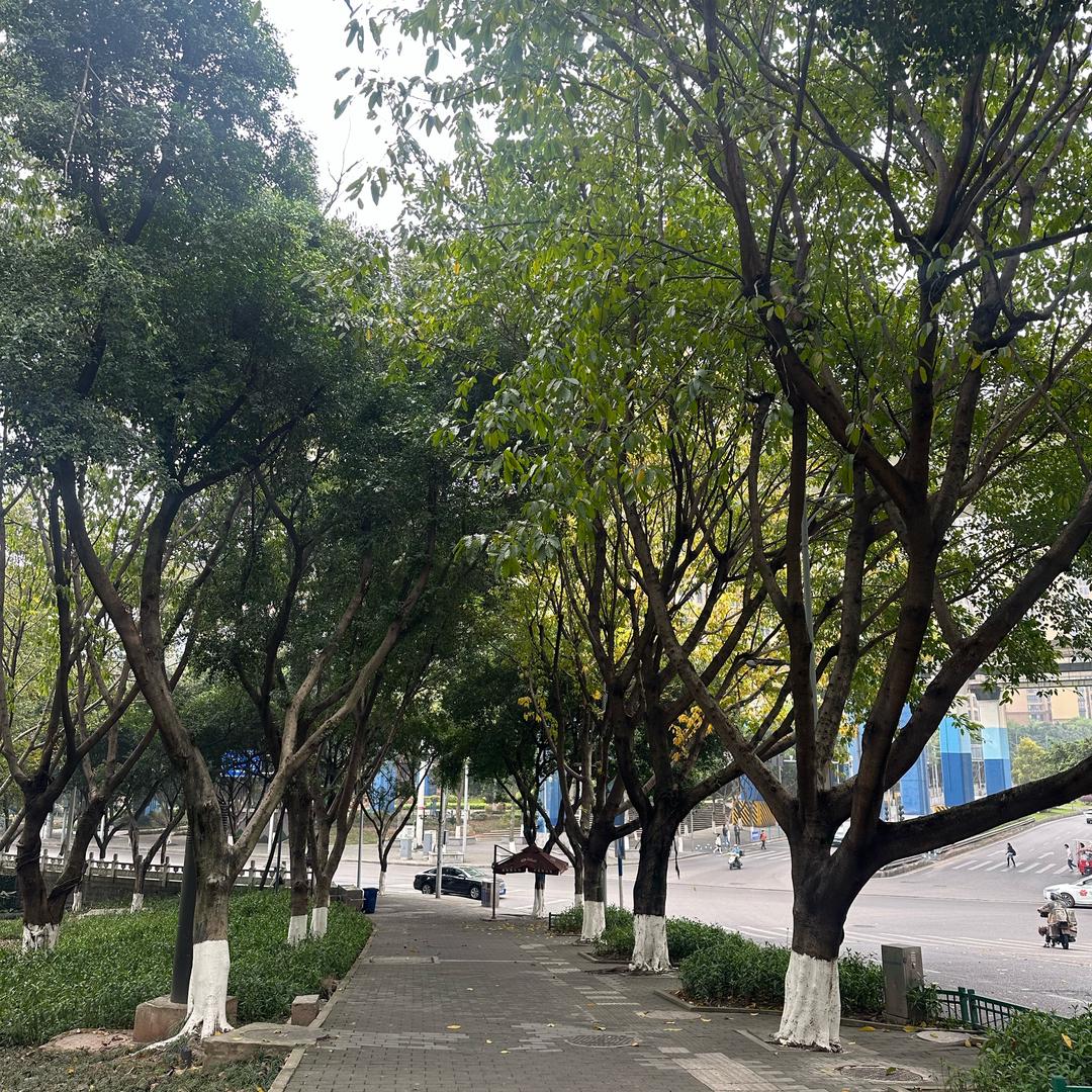 匿名用户