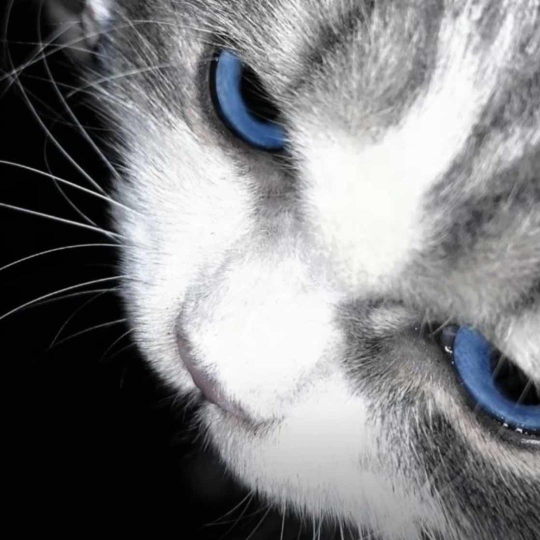 熹