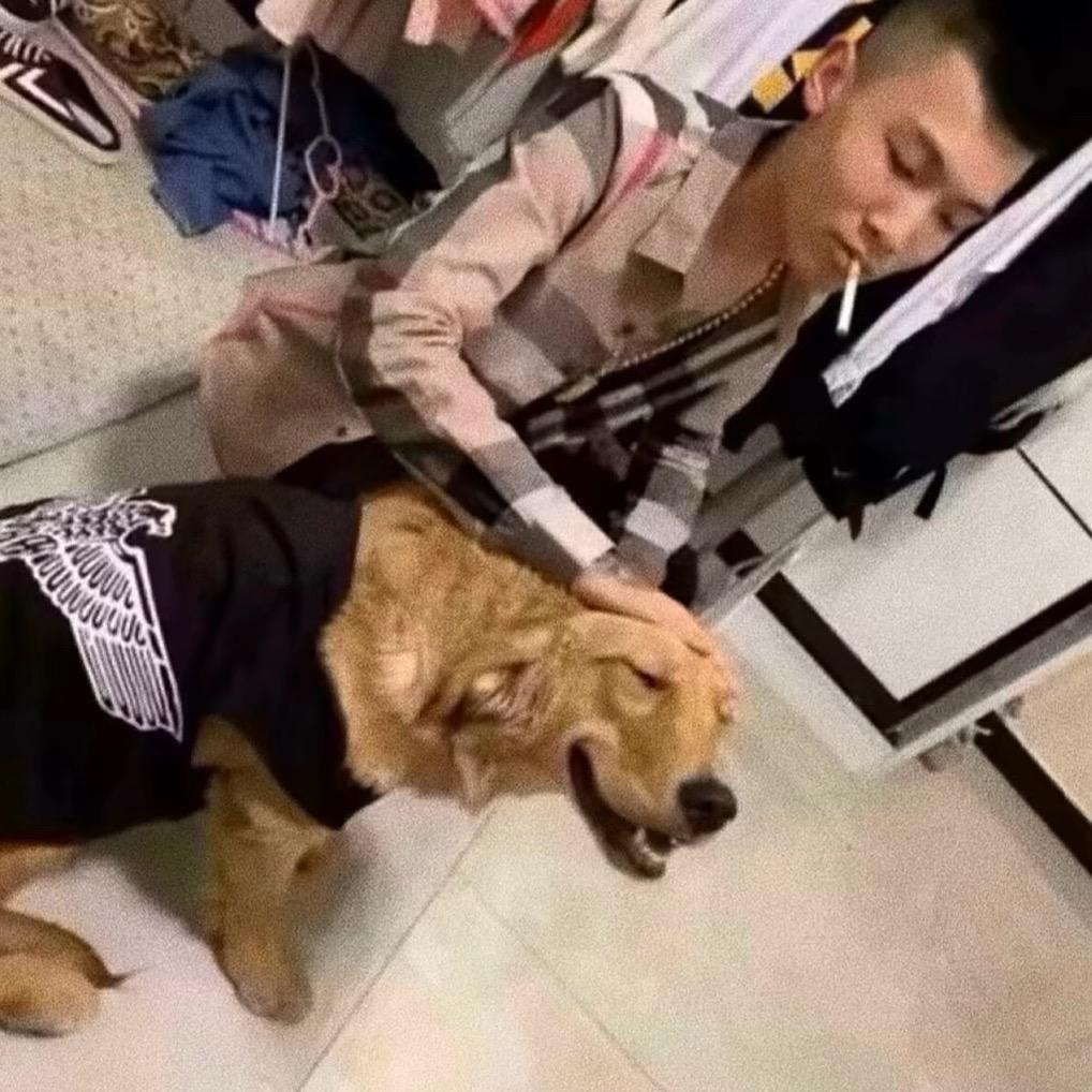 硕 硕硕会摇.