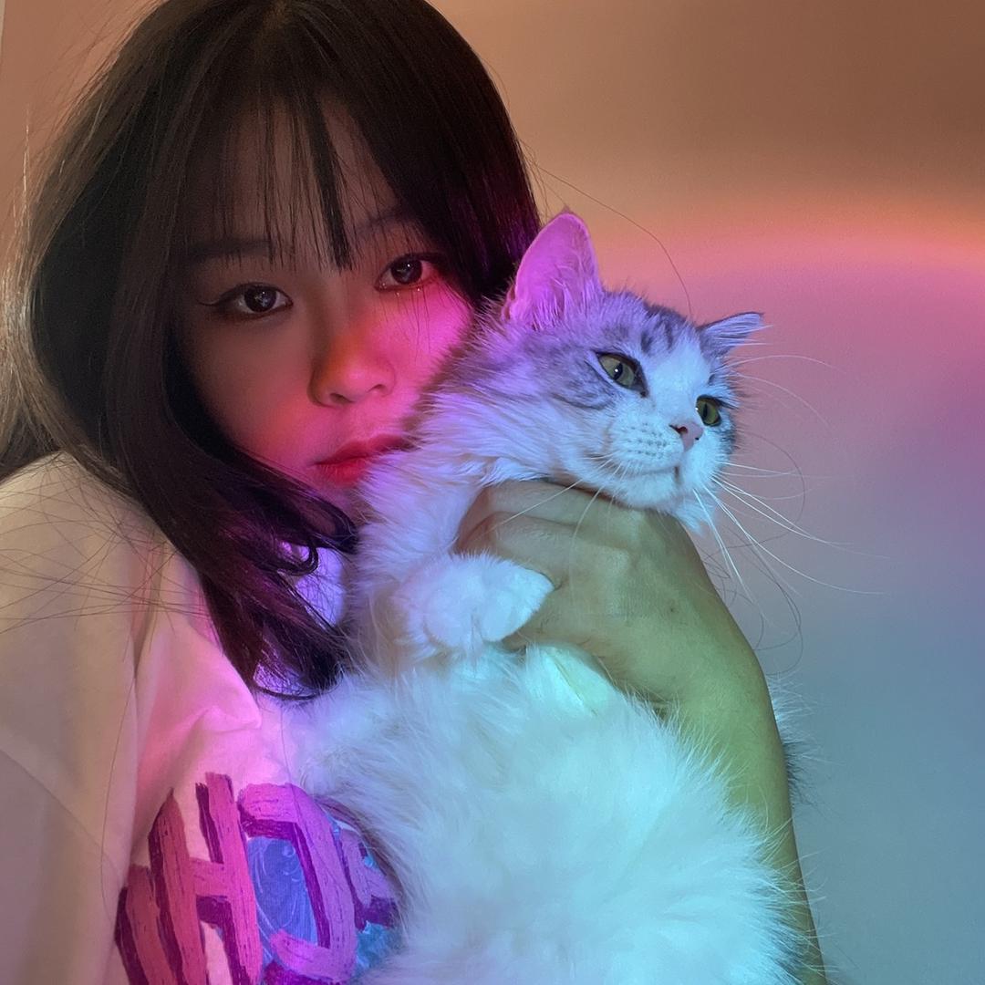🌈猫猫与哈哈的哈哈