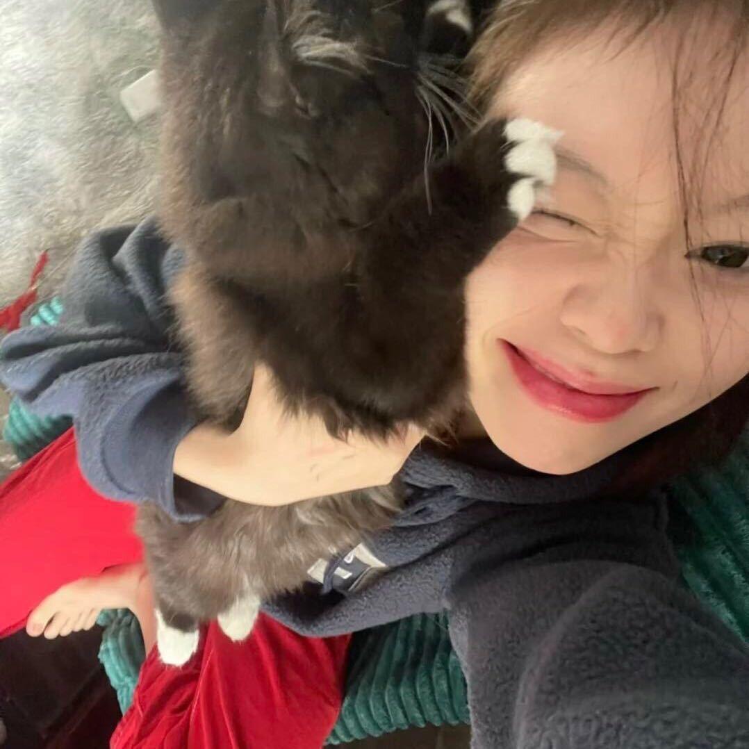 如果有人能读懂我