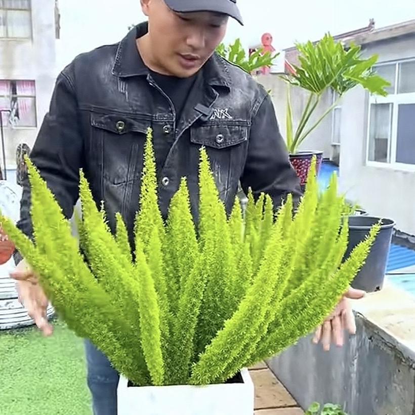 万花筒园艺