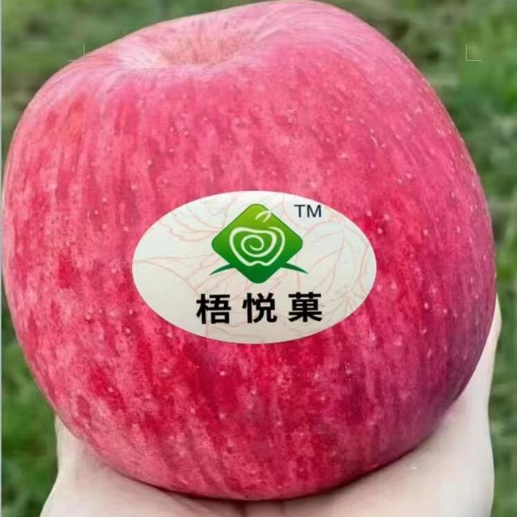 白水欣荣果业