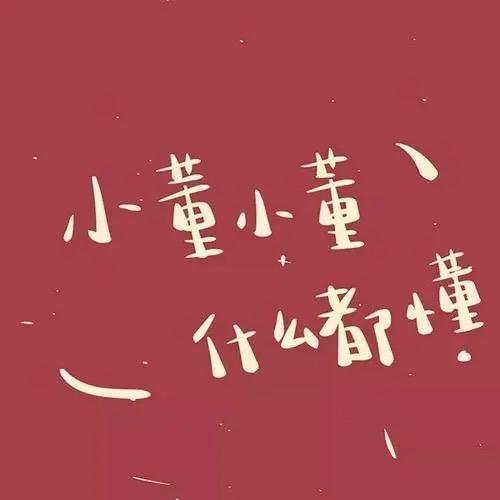艺考志愿填报董老师