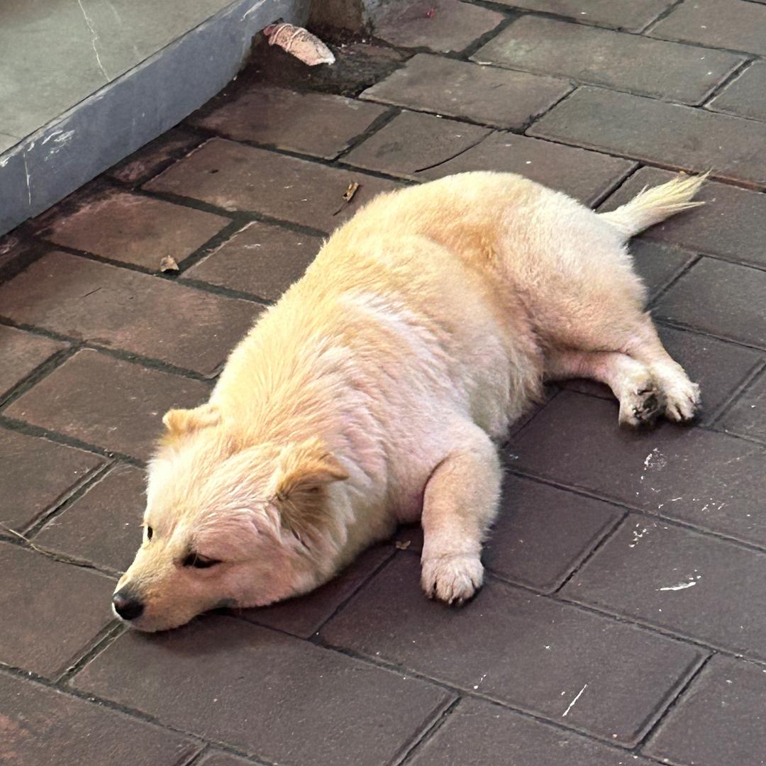 Hhhhh