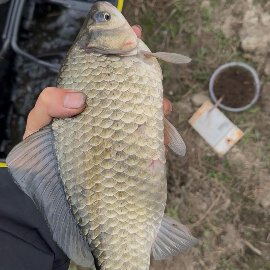 野钓🔥李不空🎣