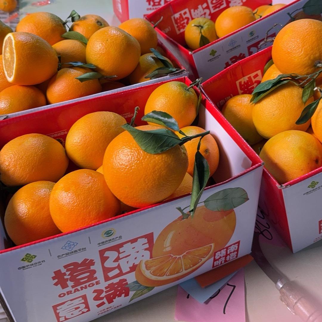 明日达-正宗赣南脐橙