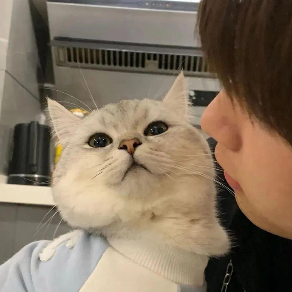 思静