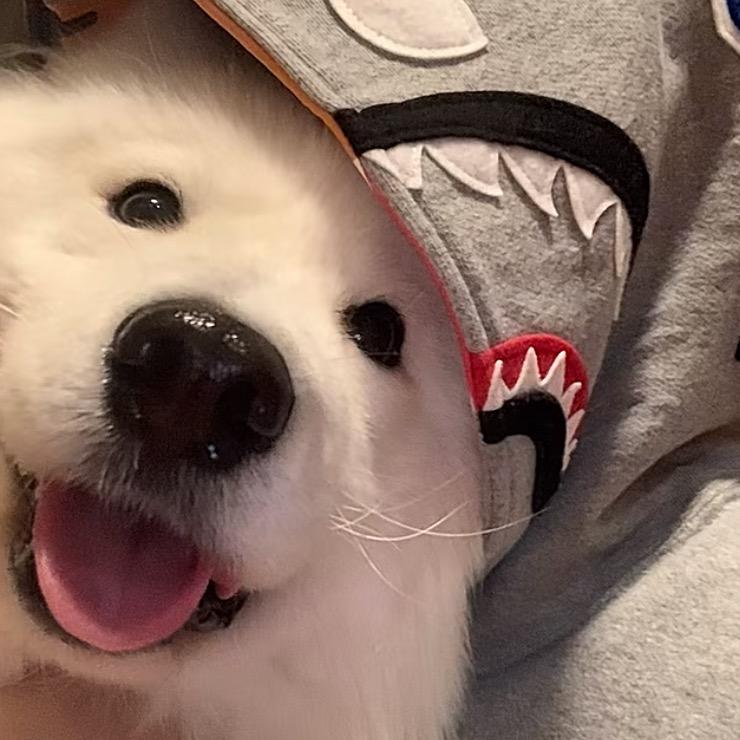 犯困.