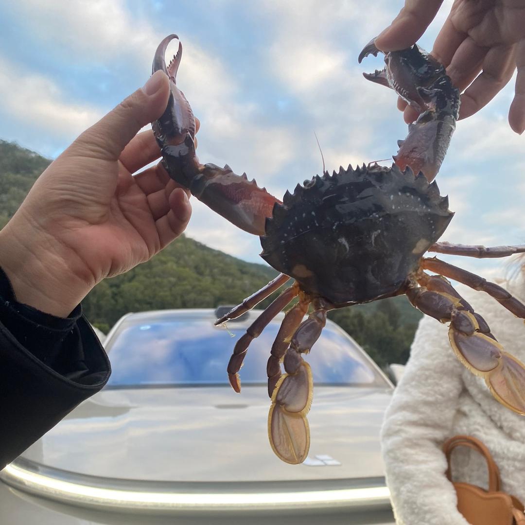 南澳岛小陈·出海捕鱼