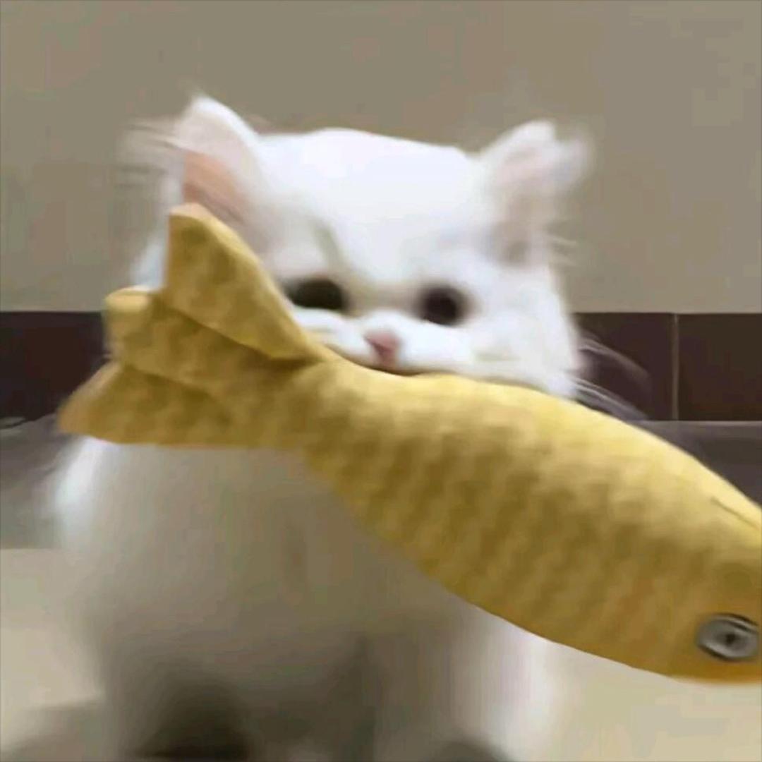 豆豆豆豆豆汁儿