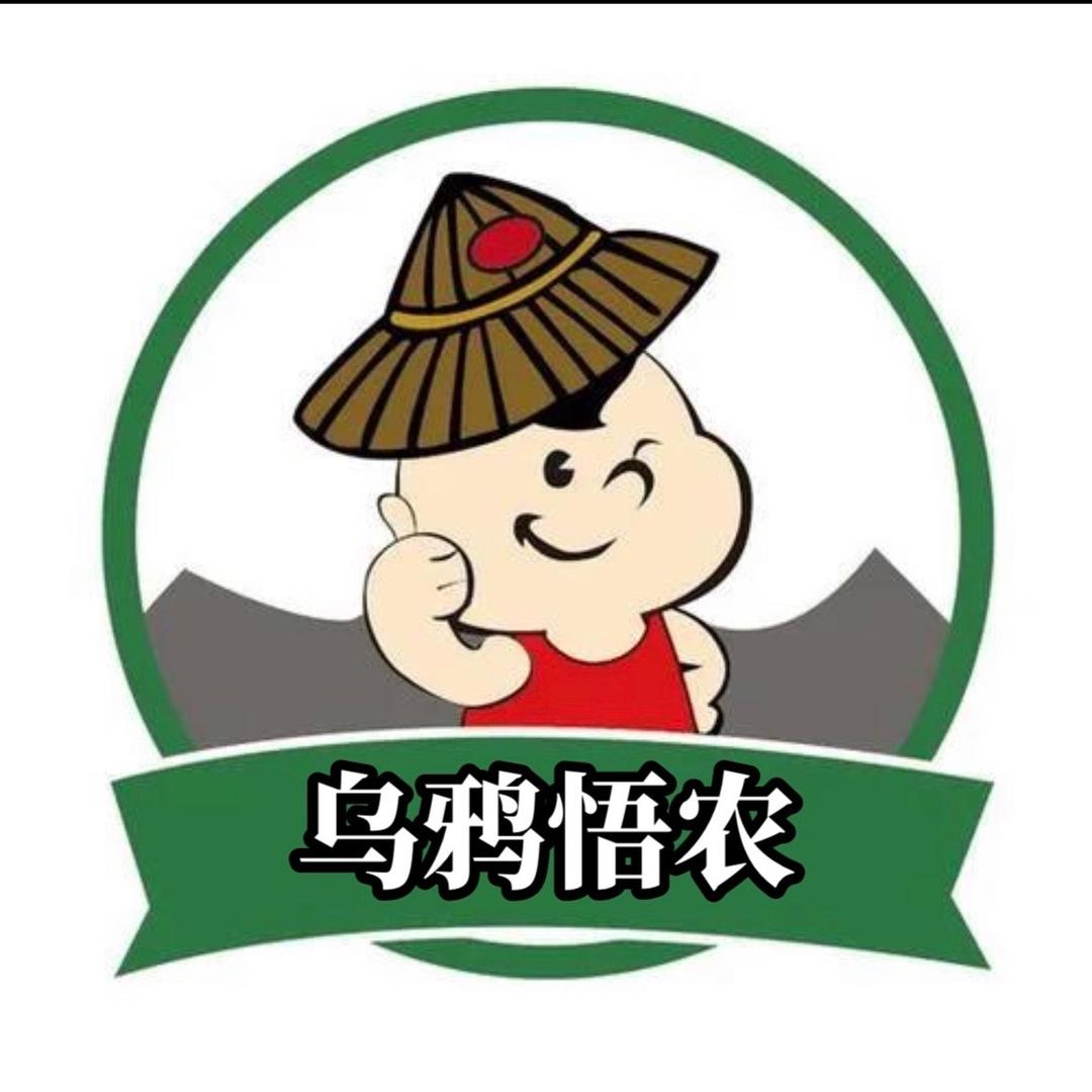 乌鸦✨