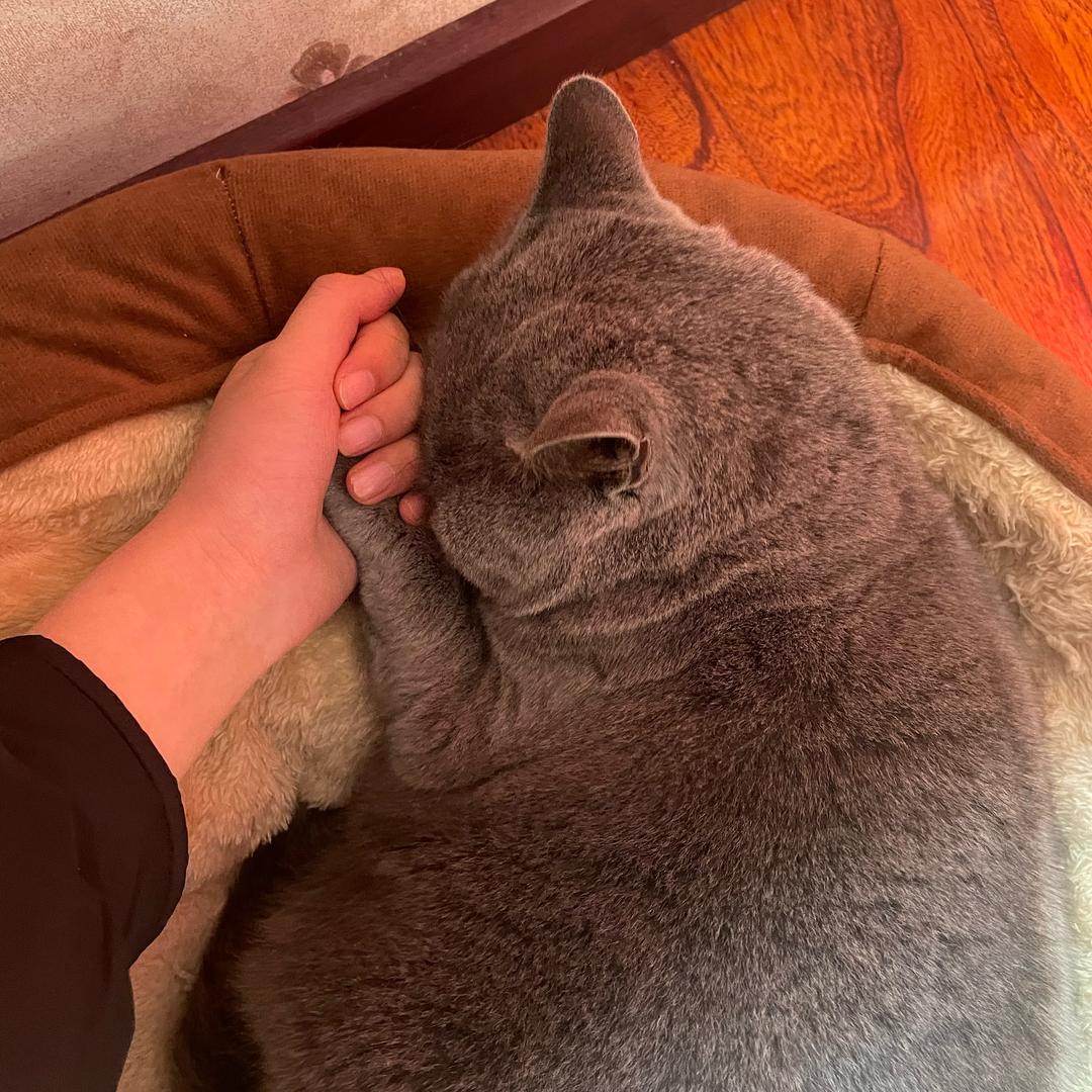 ㅤㅤㅤㅤㅤㅤㅤㅤㅤㅤㅤㅤㅤㅤㅤ