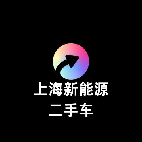 上海新能源二手车（孙钰栋）