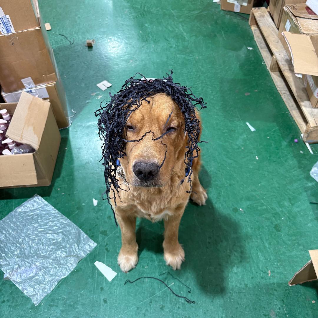玩户外的那小伙